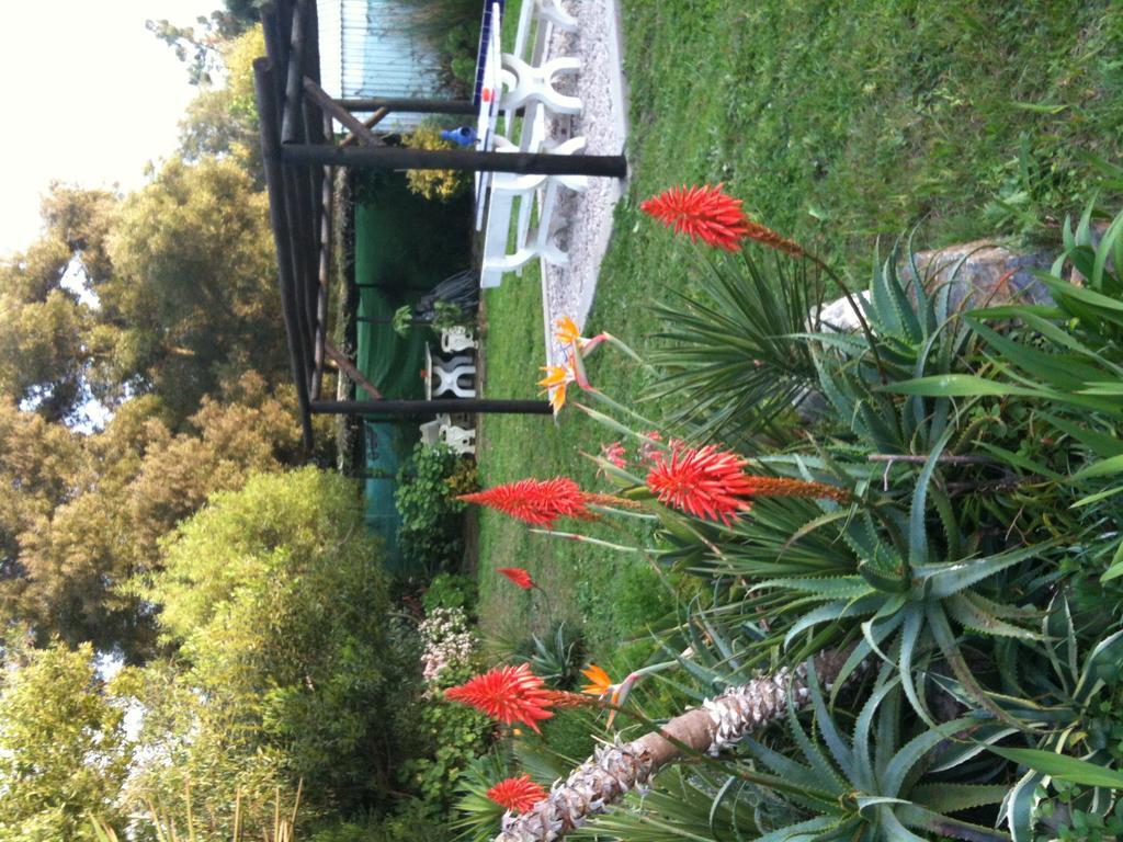 Alentejo Pig Dog Surf Camp Hotel Palhota Bagian luar foto