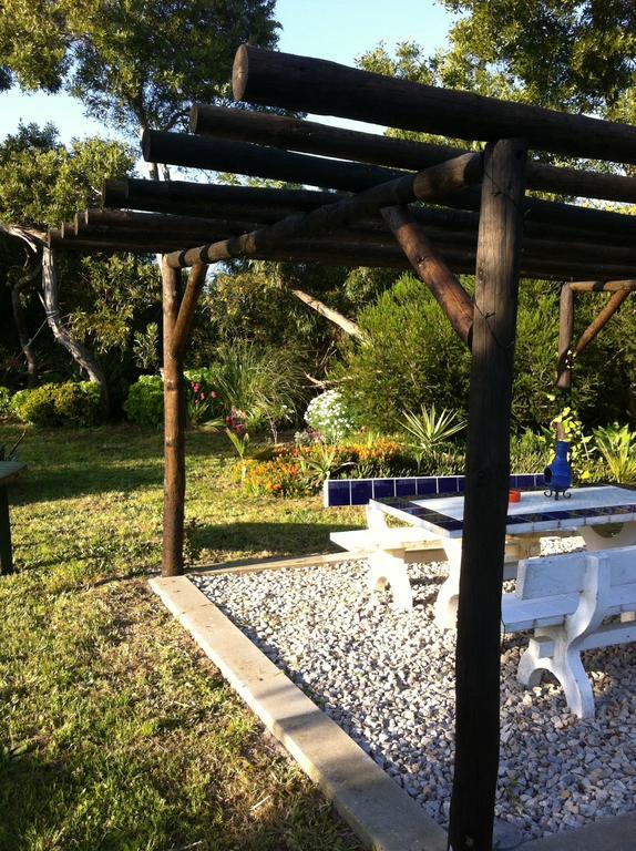 Alentejo Pig Dog Surf Camp Hotel Palhota Bagian luar foto
