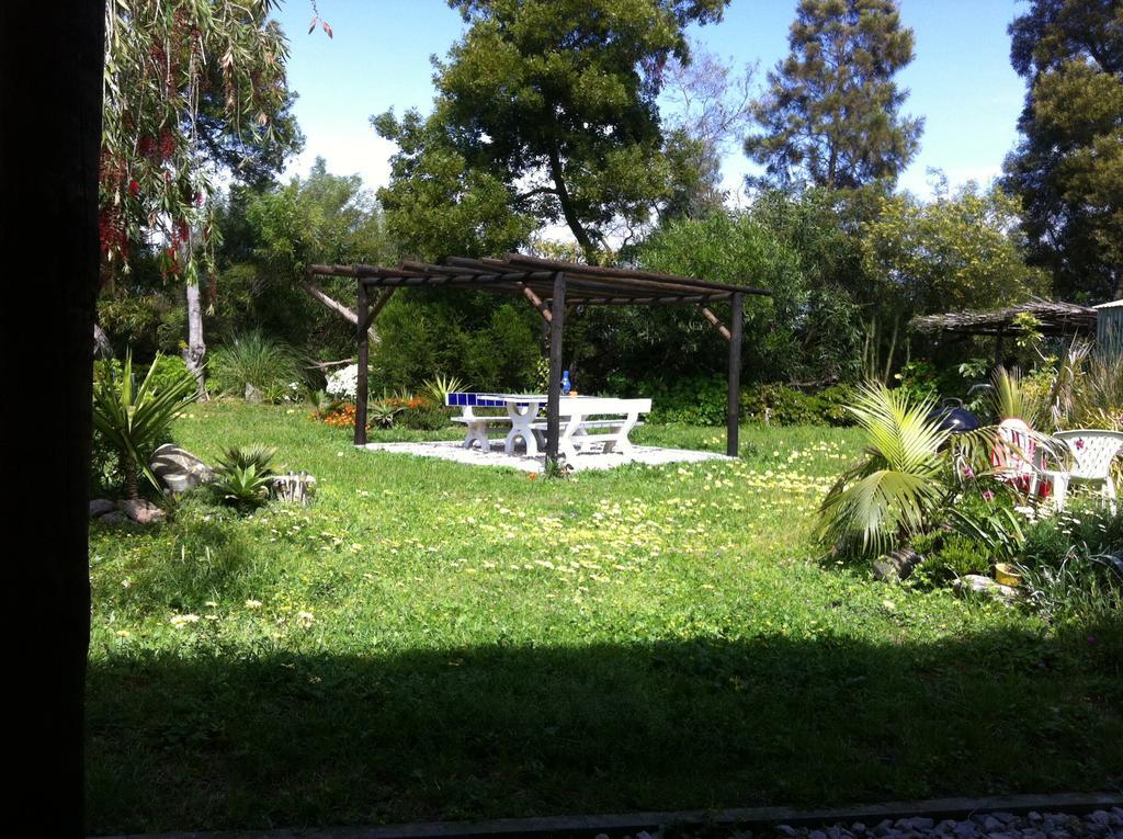 Alentejo Pig Dog Surf Camp Hotel Palhota Bagian luar foto
