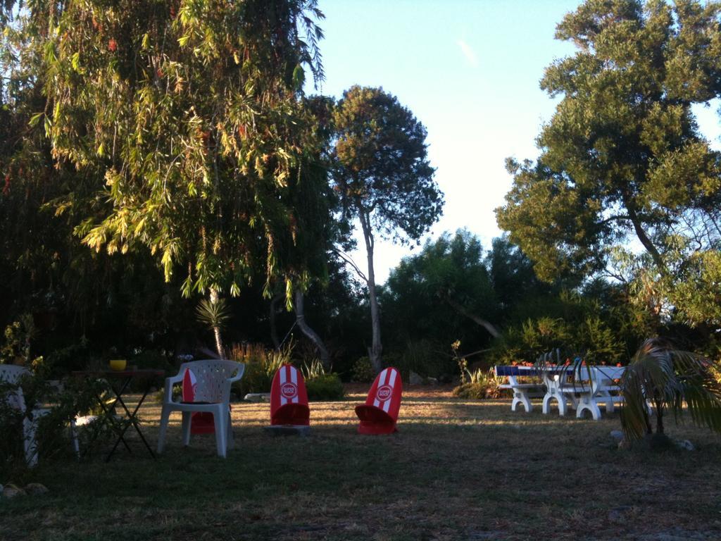 Alentejo Pig Dog Surf Camp Hotel Palhota Bagian luar foto